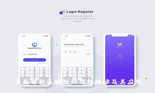 全面解析区块链的钱包地址及其应用