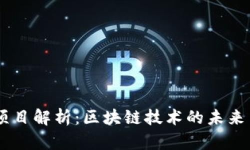OK链项目解析：区块链技术的未来与应用