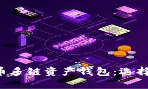 深入了解比特币多链资产钱包：选择、管理与安全性