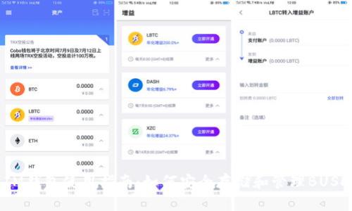 IM钱包使用指南：如何安全存储和管理BUSD