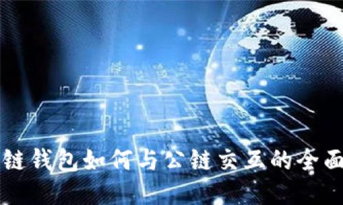 区块链钱包如何与公链交互的全面指南