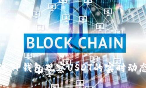 如何通过TP钱包观察USDT的实时动态与管理