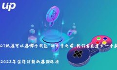在撰写关于“USDT现在可以存哪个钱包”的文章之