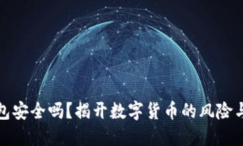 虚拟币钱包安全吗？揭开数字货币的风险与防护之道