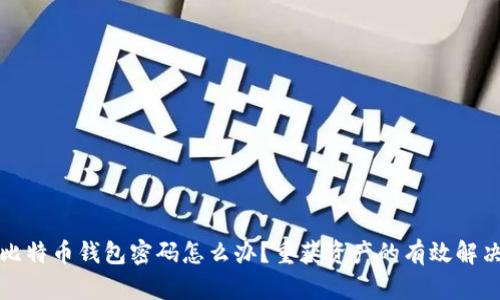 忘记比特币钱包密码怎么办？重获资产的有效解决方案