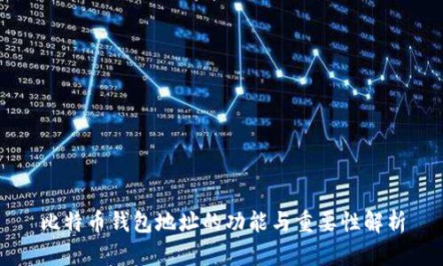 比特币钱包地址的功能与重要性解析