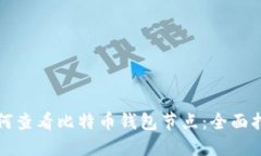 如何查看比特币钱包节点：全面指南