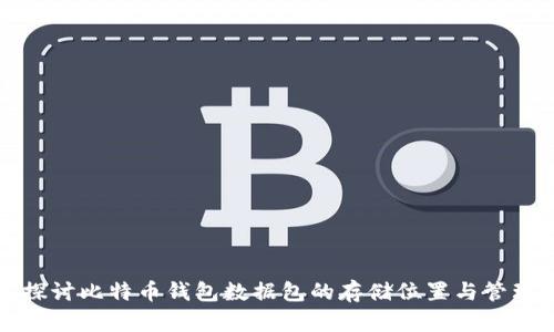 深入探讨比特币钱包数据包的存储位置与管理技巧