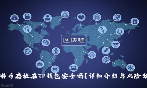 比特币存放在TP钱包安全吗？详细介绍与风险分析