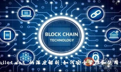 比特币钱包 wallet.dat 的深度解析：如何安全管理和使用你的比特币资产