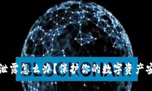 助记词泄露怎么办？保护你的数字资产安全指南