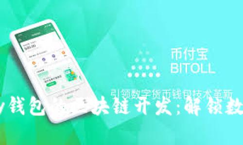 全面解析vPay钱包的区块链开发：解锁数字支付的未来