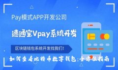 如何查看比特币数字钱包