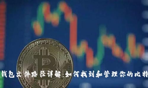 比特币钱包文件路径详解：如何找到和管理你的比特币钱包