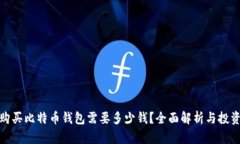 现在购买比特币钱包需要多少钱？全面解析与投