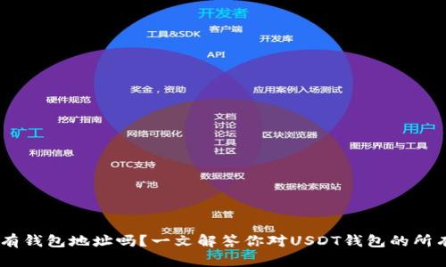 USDT有钱包地址吗？一文解答你对USDT钱包的所有疑惑