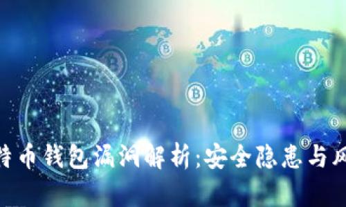 BRD比特币钱包漏洞解析：安全隐患与风险防范