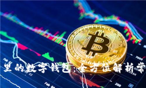 区块链世界里的数字钱包：全方位解析常用钱包类型