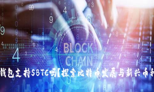 比特币钱包支持SBTC吗？探索比特币发展与新兴币种的关系